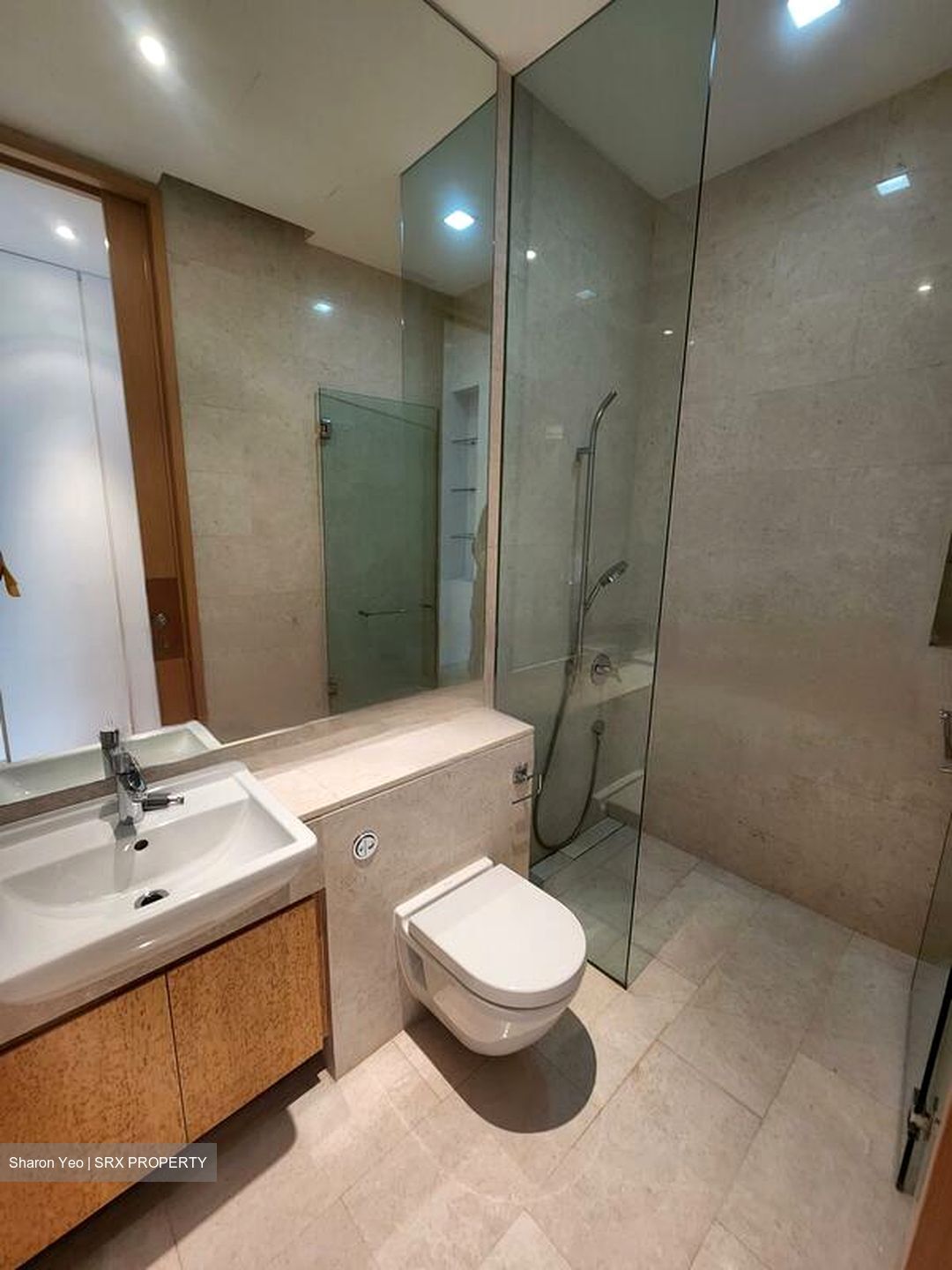 Belle Vue Residences (D9), Condominium #471317561